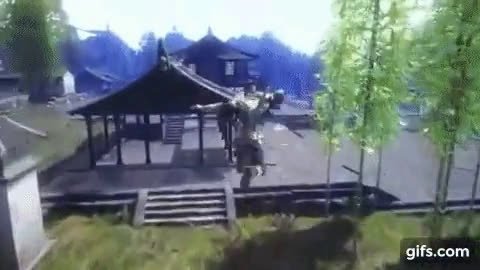 gif (2).mp4